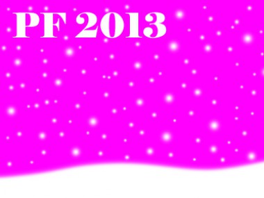 Obrázek pro článek - Krásný a hlavně úspěšný rok 2013!